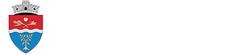 Primaria Dumbrăvița Logo